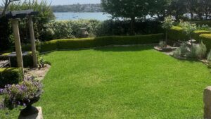 Harbour view lawn edged with garden beds and a timber pergola.