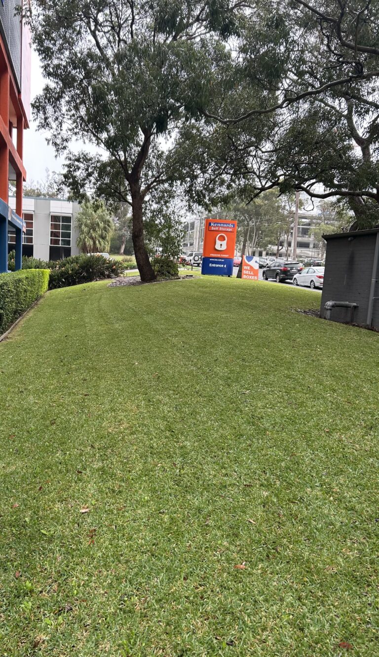 Mown lawn and shade tree in the common grounds of a Sydney apartment building beside the car park.