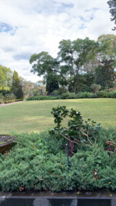 Sweeping mown lawn and established garden beds under mature trees.