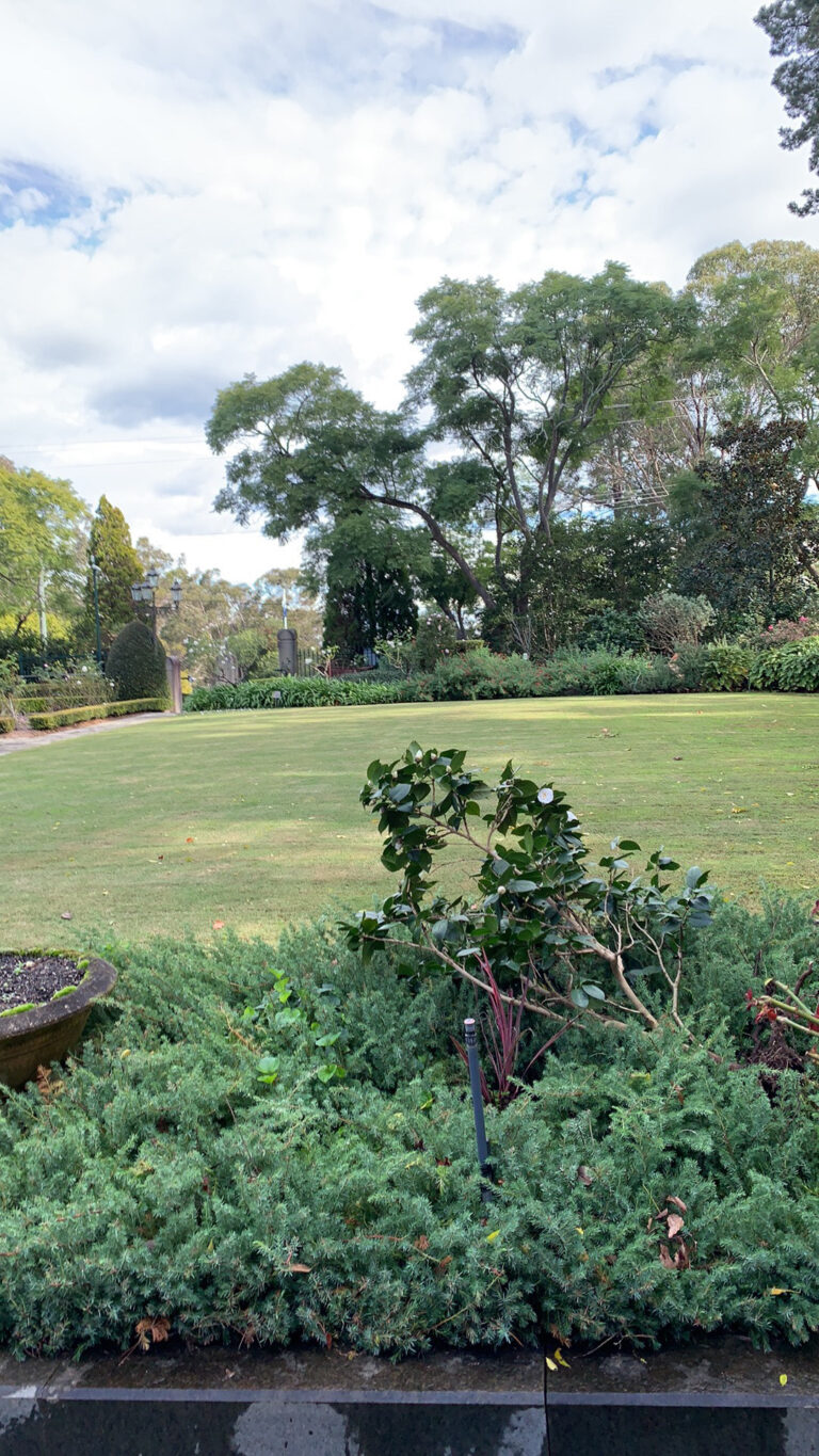 Sweeping lawn and established garden beds under mature trees.
