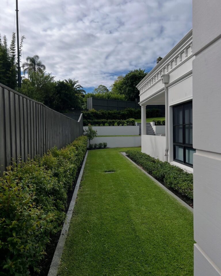 Immaculately mown side lawn with clipped hedging along a Sydney property boundary.