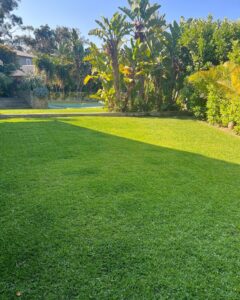 Striped freshly mown lawn bordered by a neatly trimmed hedge.