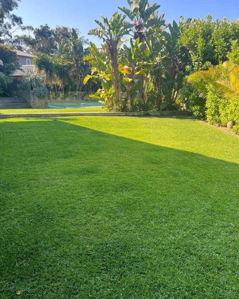 Striped freshly mown lawn running down to trees and water at a Sydney property.