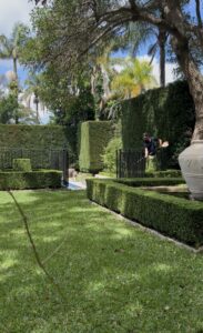 Layered clipped hedges and lawn with a gardener trimming in the background.