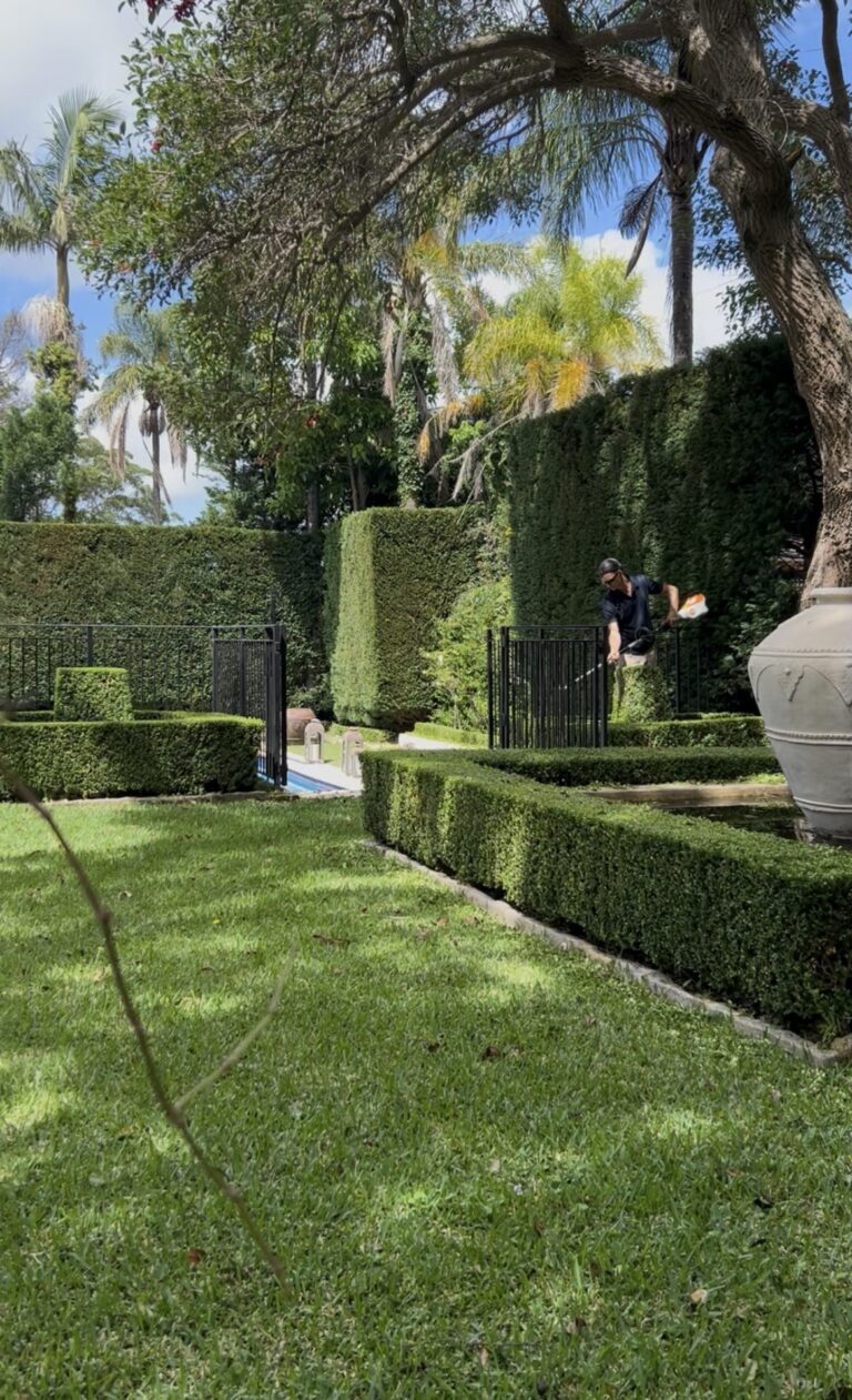 Layered clipped hedges and lawn with a Moss Gardens gardener trimming in the background.