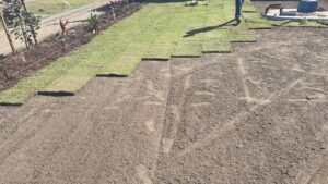 Rolls of fresh turf being laid over prepared soil during a soft landscaping job.