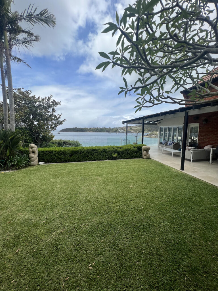 Coastal backyard lawn beside a modern home looking out to the headland on Sydney's Northern Beaches.
